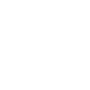 privacy icon